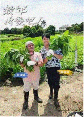 露营不插电综艺海报
